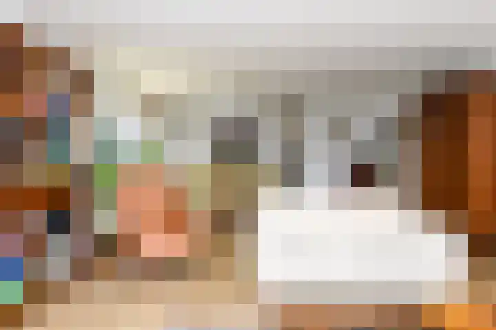 Sterrekruid 49 Zeewolde thumbnail 14
