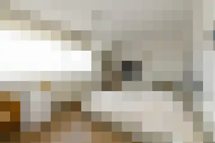 Sterrekruid 49 Zeewolde thumbnail 18
