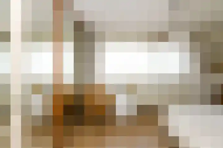 Sterrekruid 49 Zeewolde thumbnail 20