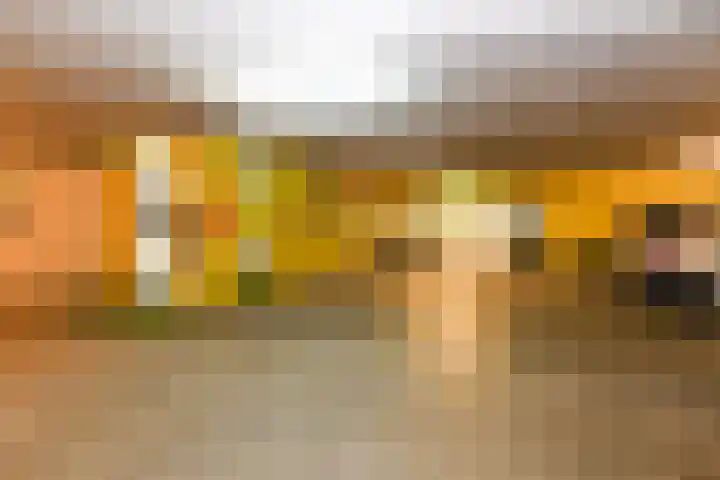 Sterrekruid 49 Zeewolde thumbnail 25