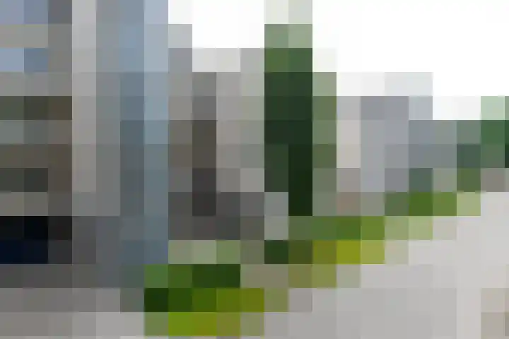 Sterrekruid 49 Zeewolde thumbnail 26