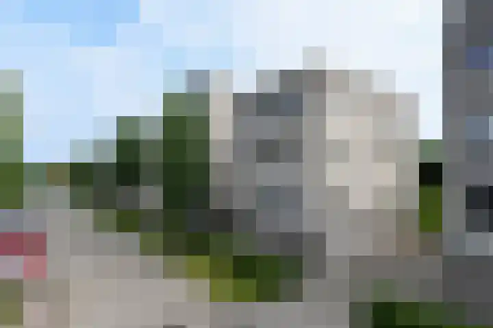 Sterrekruid 49 Zeewolde thumbnail 27