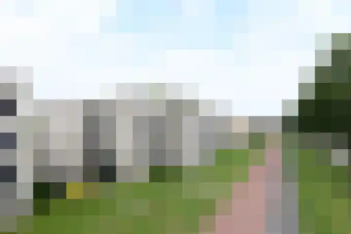Sterrekruid 49 Zeewolde thumbnail 28