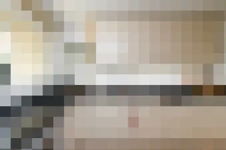 Sterrekruid 49 Zeewolde thumbnail 4