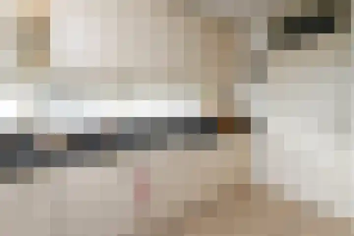 Sterrekruid 49 Zeewolde thumbnail 5