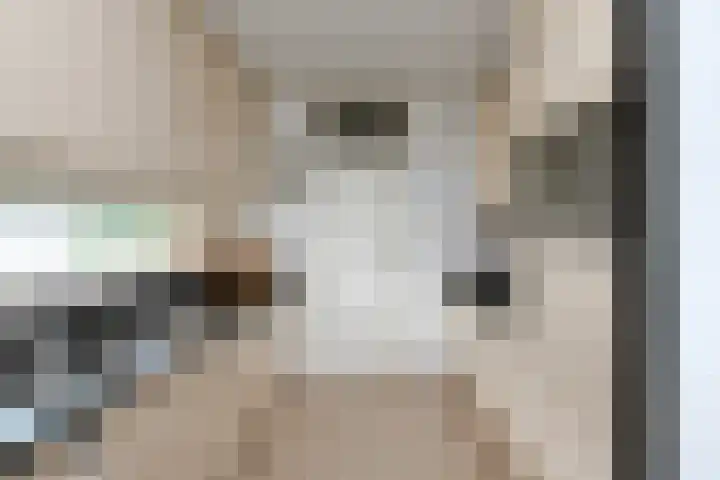 Sterrekruid 49 Zeewolde thumbnail 6