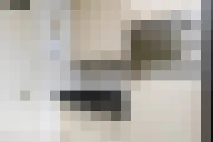 Sterrekruid 49 Zeewolde thumbnail 7