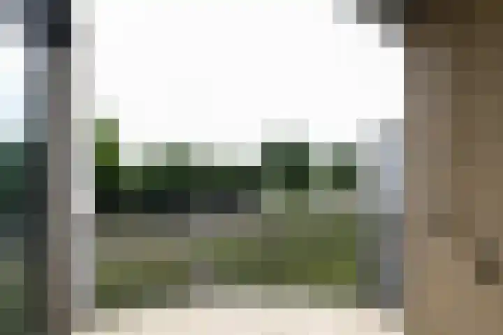 Sterrekruid 49 Zeewolde thumbnail 8