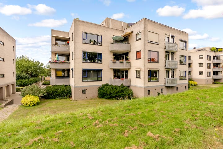 Sterrekruid 59 in Zeewolde Foto