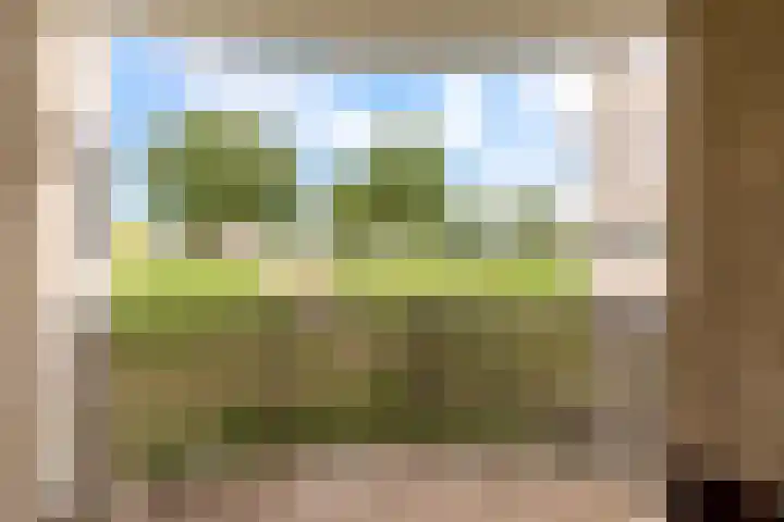 Sterrekruid 59 Zeewolde thumbnail 11