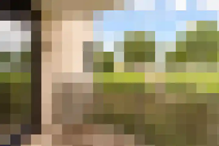 Sterrekruid 59 Zeewolde thumbnail 12