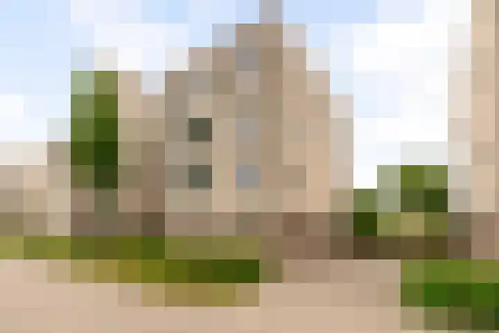 Sterrekruid 59 Zeewolde thumbnail 30