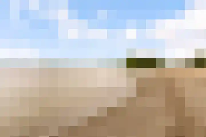 Sterrekruid 59 Zeewolde thumbnail 32