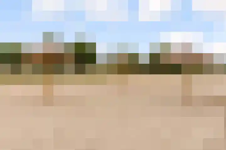 Sterrekruid 59 Zeewolde thumbnail 33