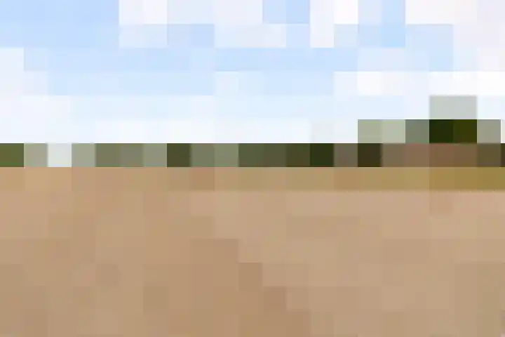 Sterrekruid 59 Zeewolde thumbnail 34