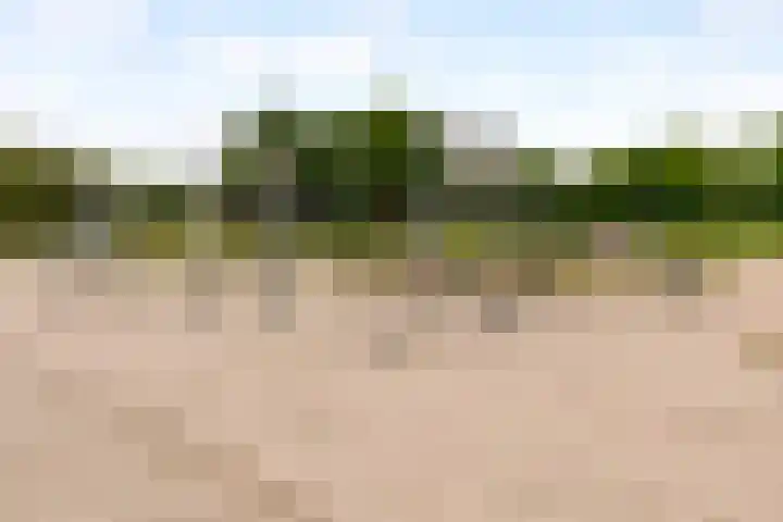 Sterrekruid 59 Zeewolde thumbnail 35