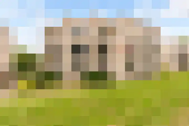 Sterrekruid 59 Zeewolde thumbnail 38