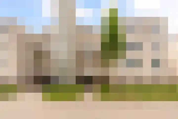Sterrekruid 59 Zeewolde thumbnail 4
