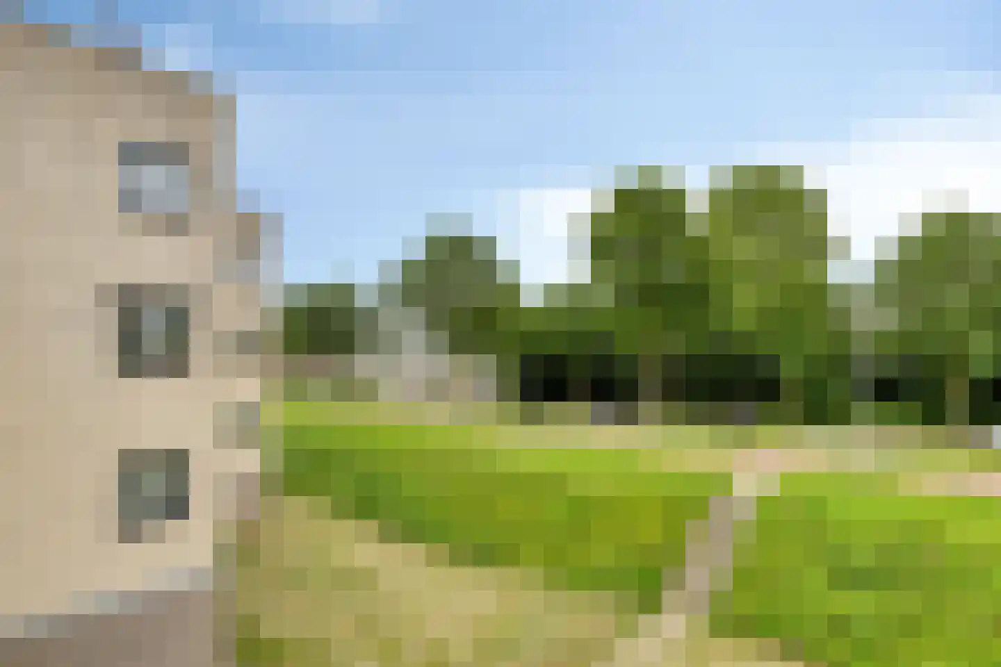 Sterrekruid 61 Zeewolde thumbnail 22