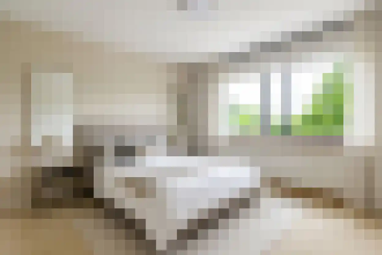 Sterrekruid 61 Zeewolde thumbnail 29