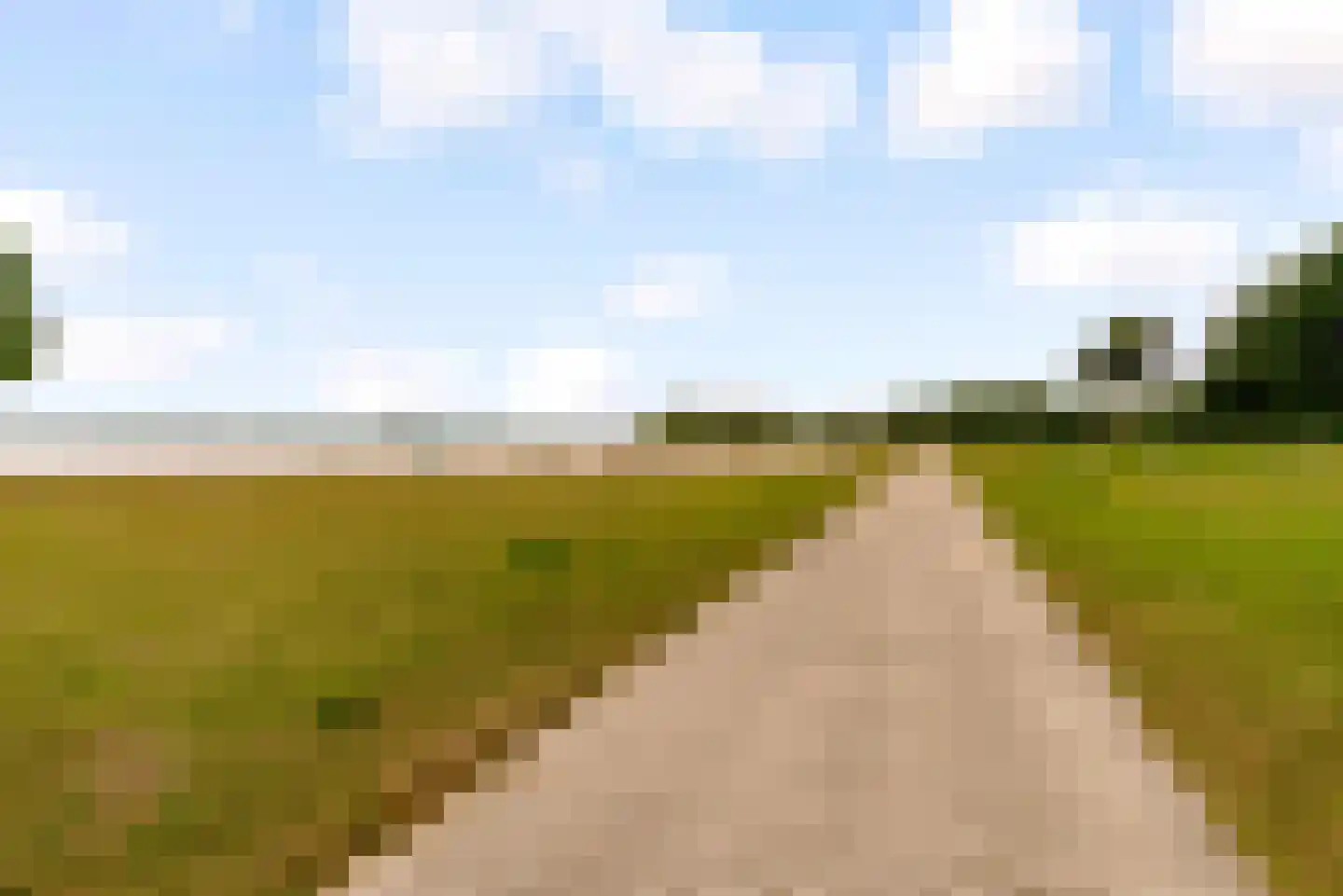 Sterrekruid 61 Zeewolde thumbnail 40