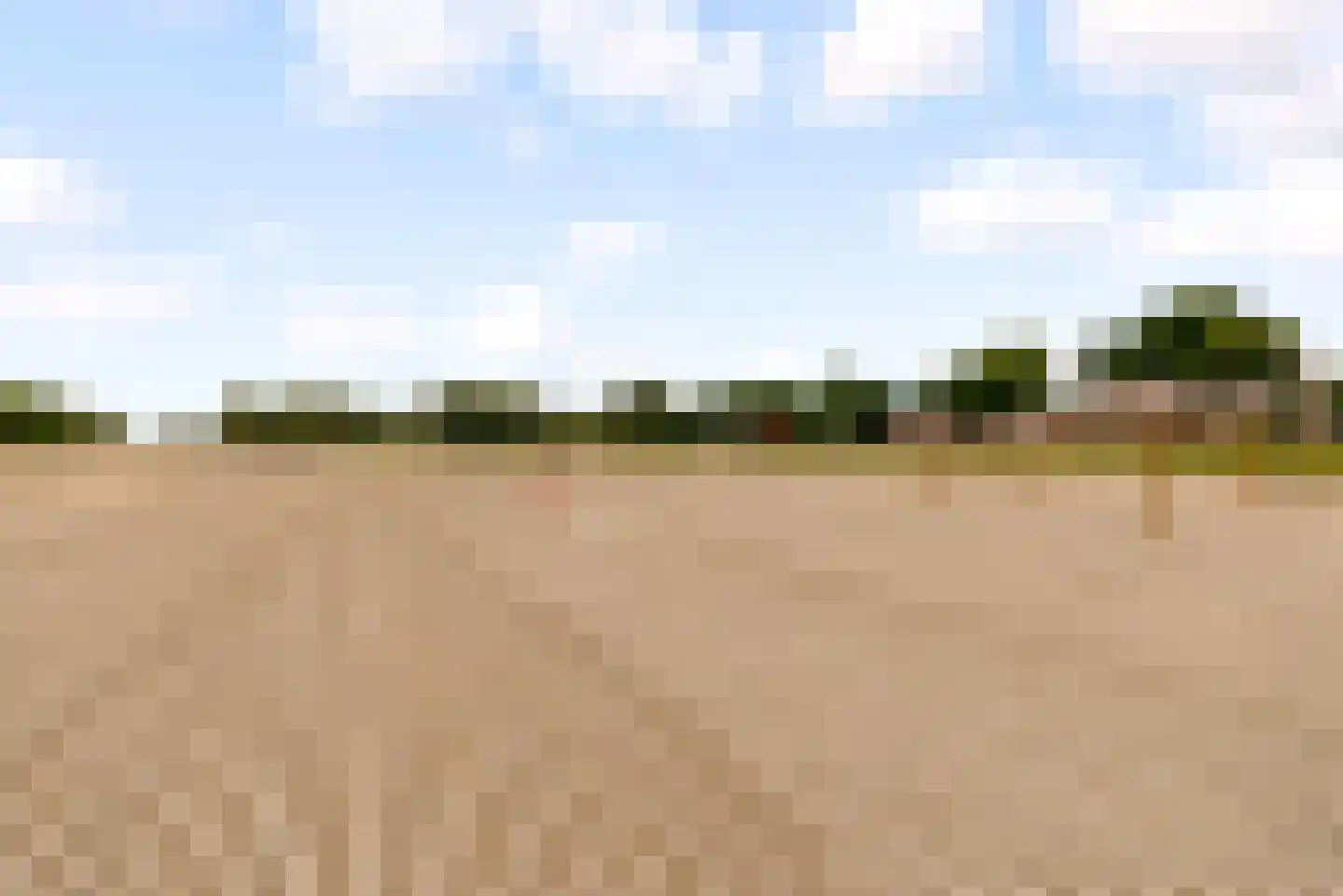 Sterrekruid 61 Zeewolde thumbnail 41