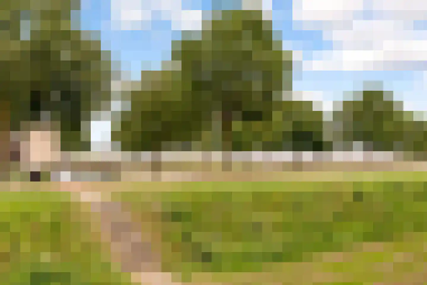 Sterrekruid 61 Zeewolde thumbnail 41