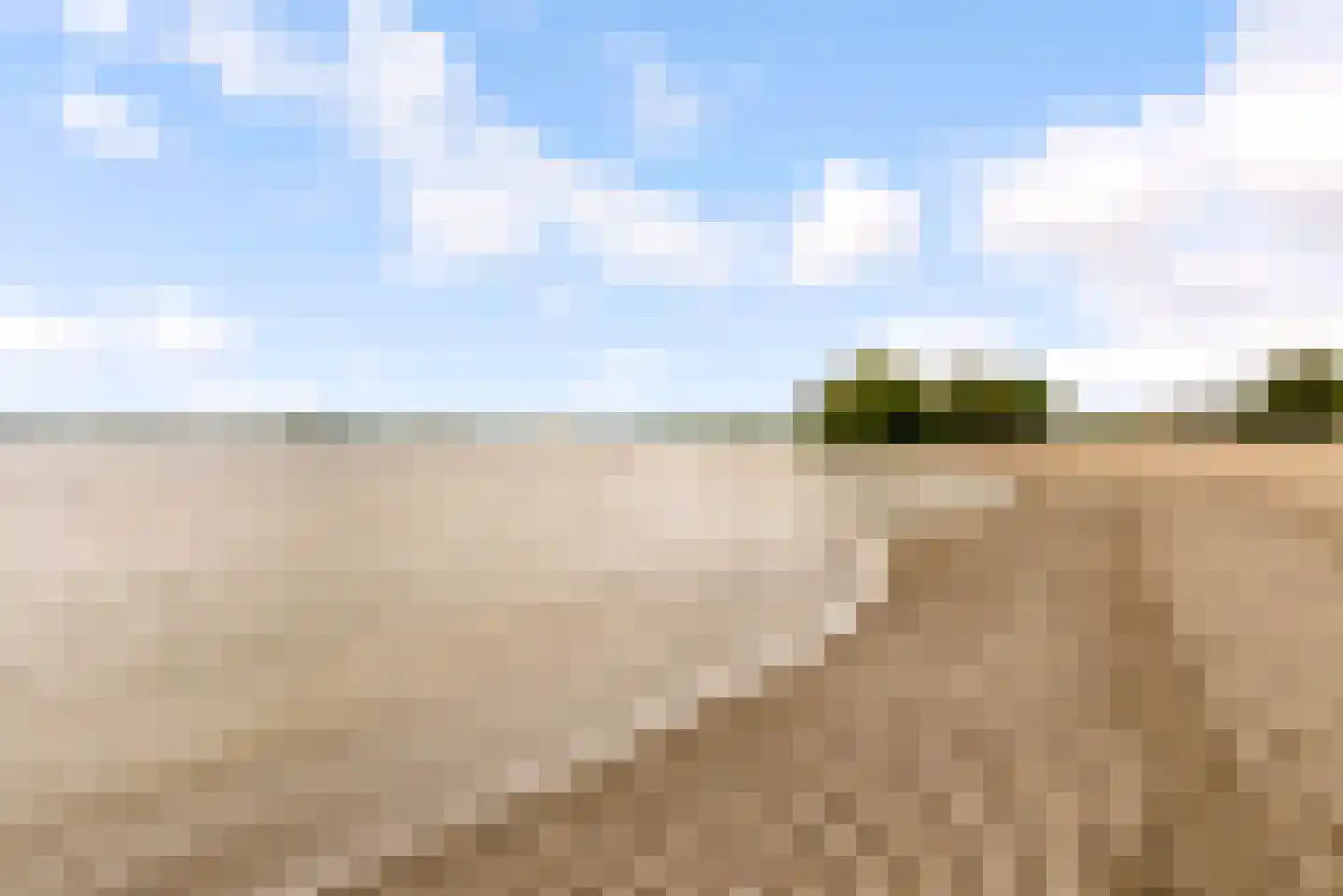 Sterrekruid 61 Zeewolde thumbnail 42