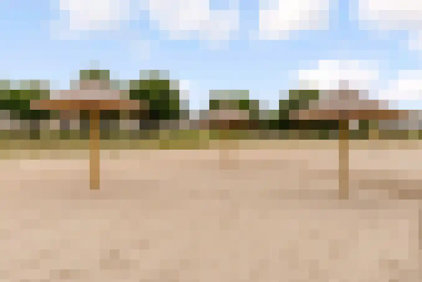 Sterrekruid 61 Zeewolde thumbnail 43