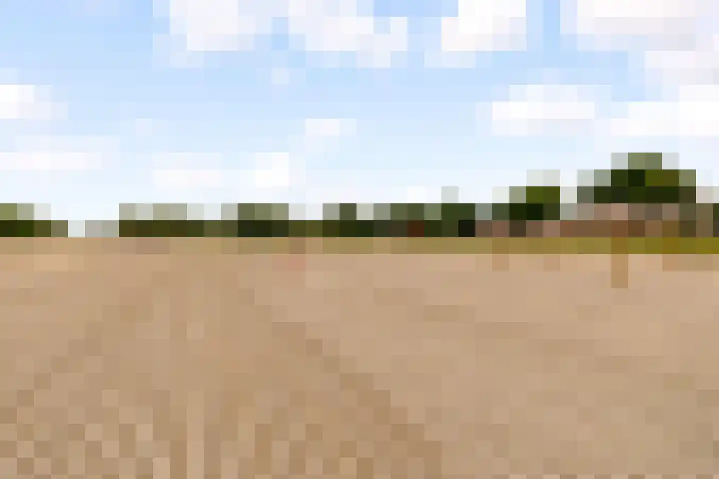 Sterrekruid 61 Zeewolde thumbnail 44