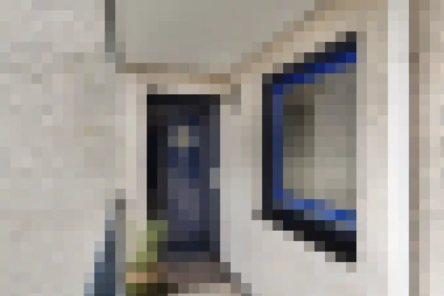 Sterrekruid 61 Zeewolde thumbnail 9