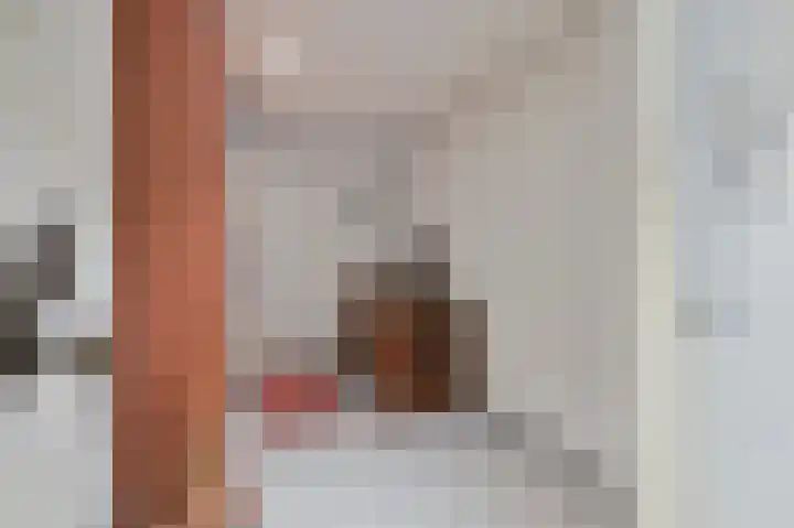 Sterrekruid 69 Zeewolde thumbnail 15