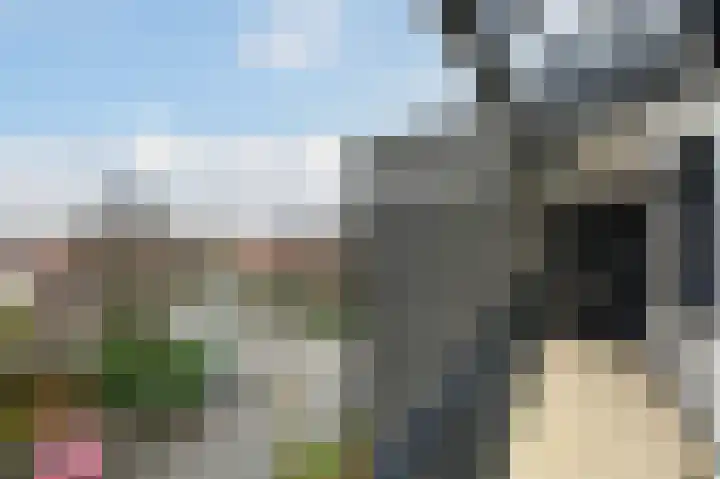 Sterrekruid 69 Zeewolde thumbnail 20