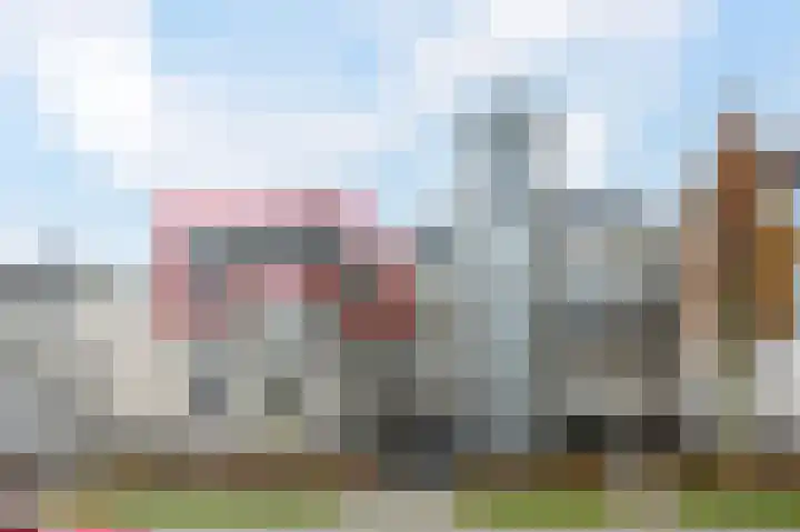 Sterrekruid 69 Zeewolde thumbnail 24