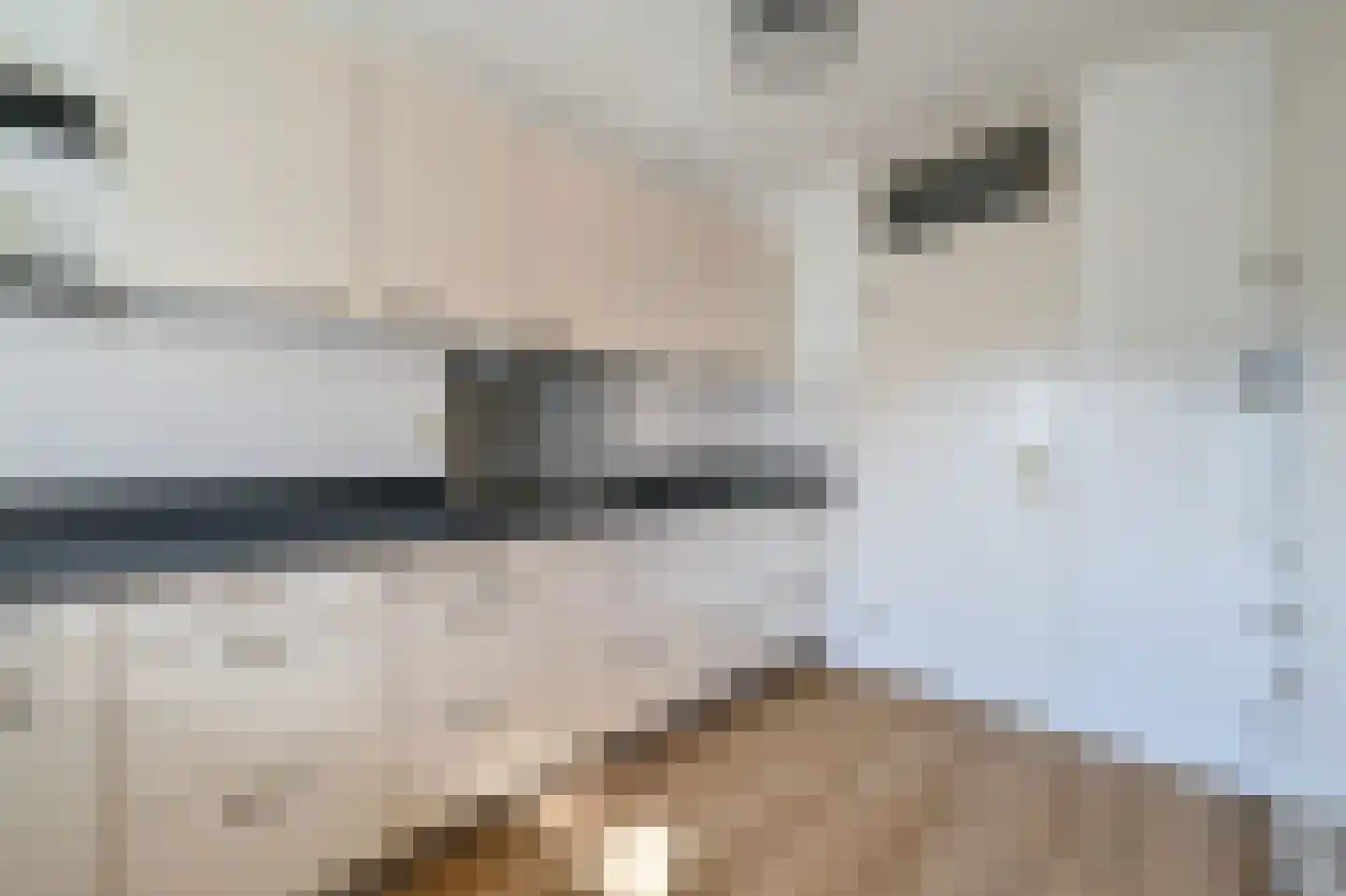 Sterrekruid 73 Zeewolde thumbnail 11