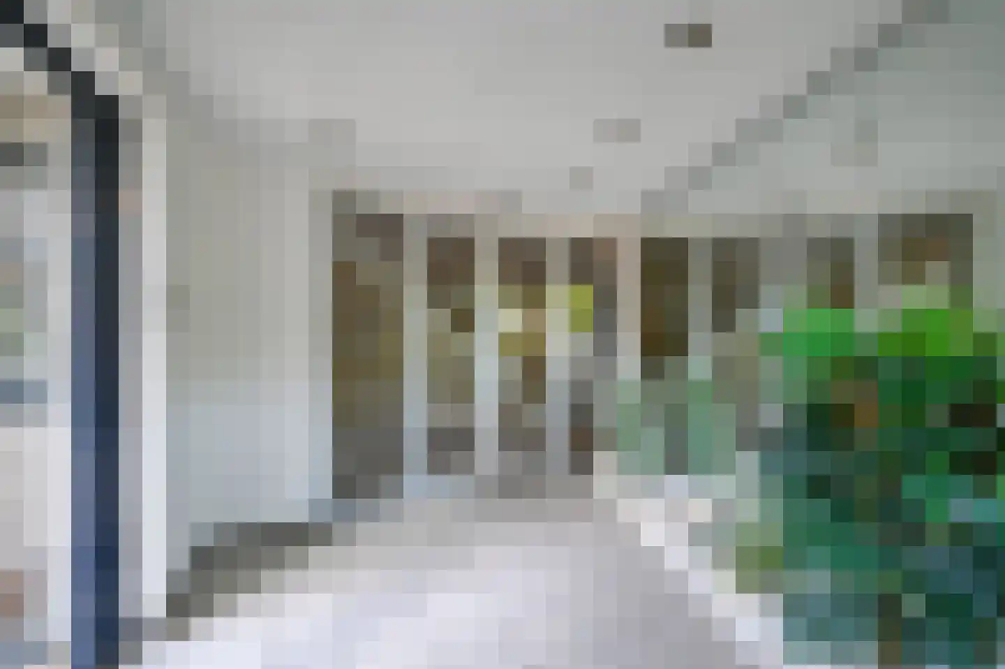 Sterrekruid 73 Zeewolde thumbnail 18
