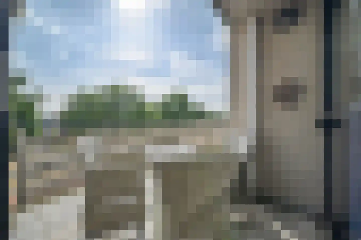Sterrekruid 73 Zeewolde thumbnail 7