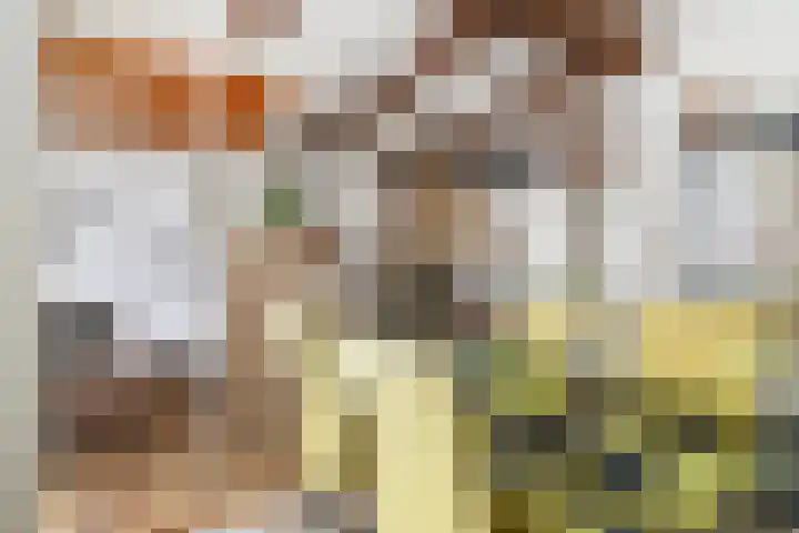 Sterremos 1 Rotterdam thumbnail 13