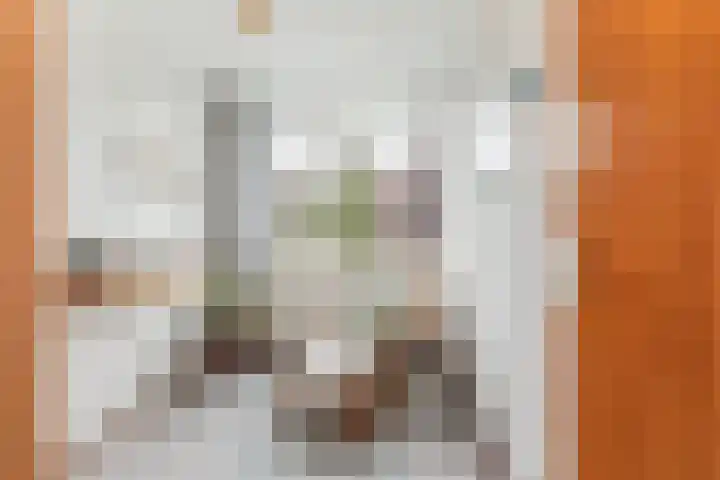 Sterremos 1 Rotterdam thumbnail 21