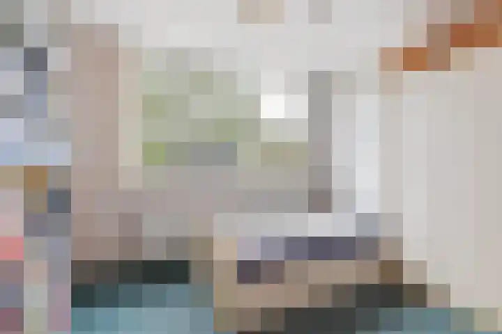 Sterremos 1 Rotterdam thumbnail 24
