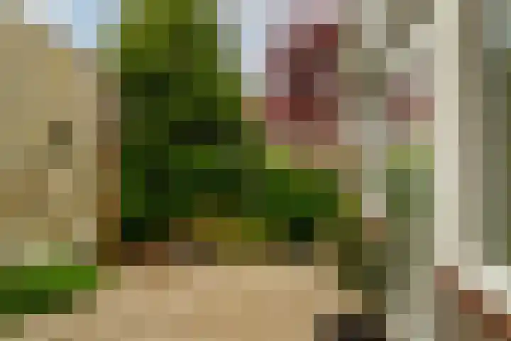 Sterremos 1 Rotterdam thumbnail 32