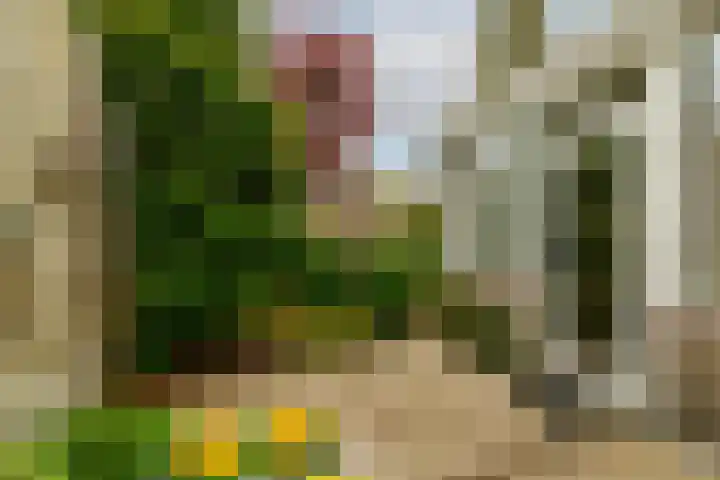 Sterremos 1 Rotterdam thumbnail 33