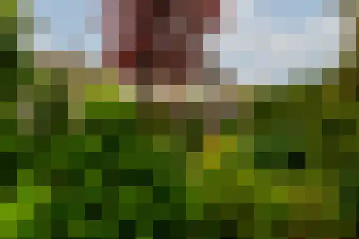 Sterremos 1 Rotterdam thumbnail 34