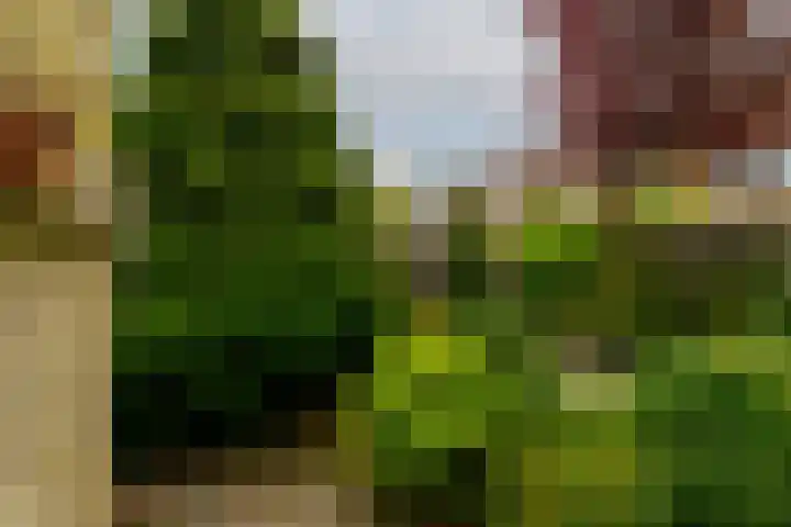 Sterremos 1 Rotterdam thumbnail 35