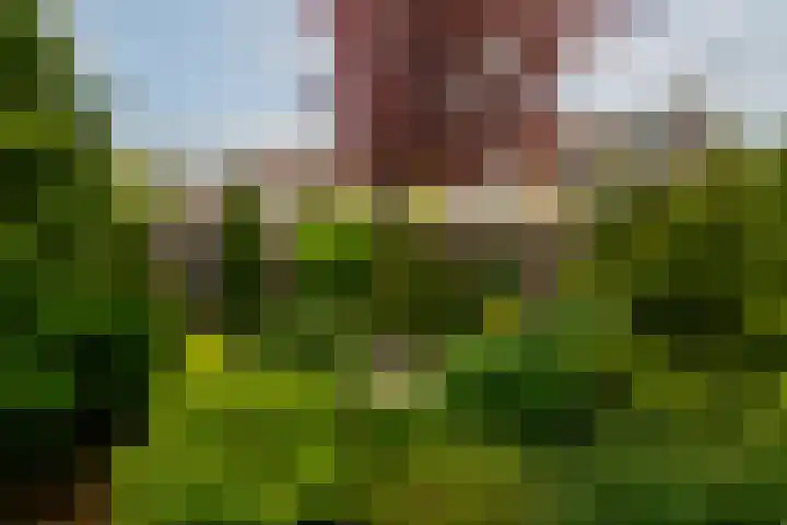 Sterremos 1 Rotterdam thumbnail 36