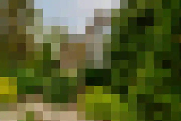 Sterremos 1 Rotterdam thumbnail 37