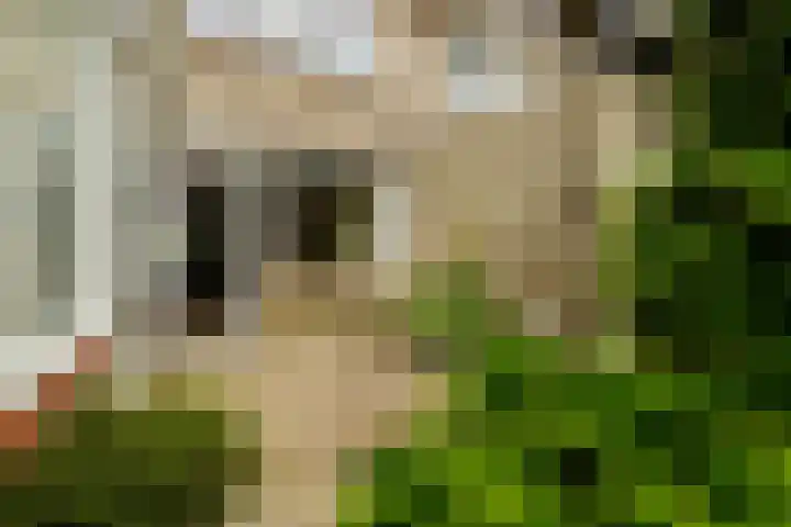 Sterremos 1 Rotterdam thumbnail 39
