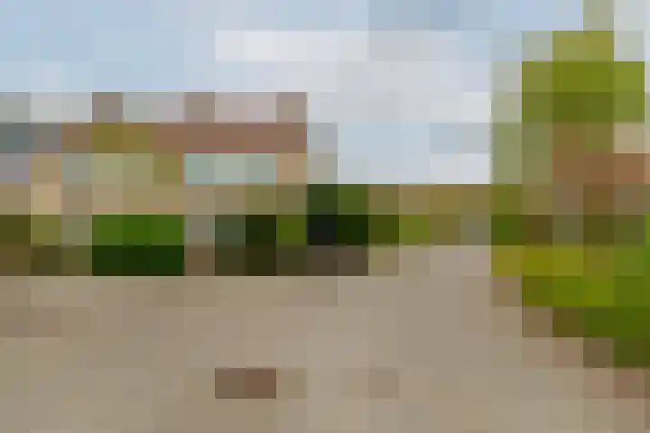Sterremos 1 Rotterdam thumbnail 40