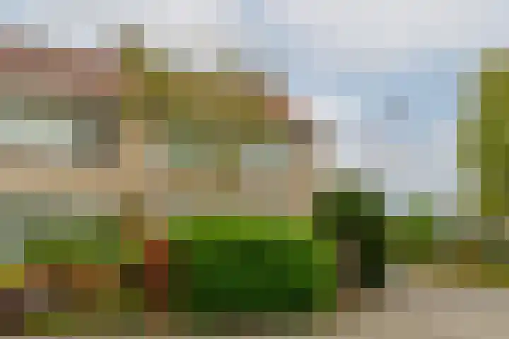 Sterremos 1 Rotterdam thumbnail 42