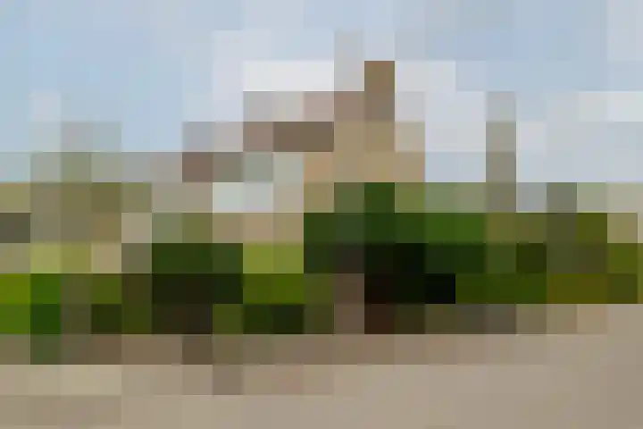Sterremos 1 Rotterdam thumbnail 43